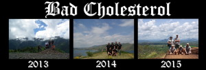 badcholesterol20132015